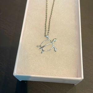 Silver Turtle Necklace